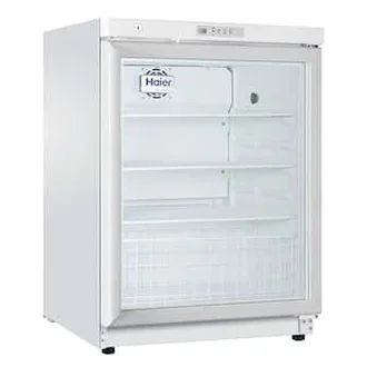 Haier company car refrigerator new arrivals